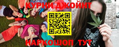 индика Волгодонск
