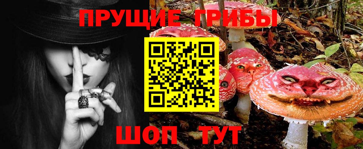 Псилоцибиновые грибы Psilocybine cubensis Кумертау
